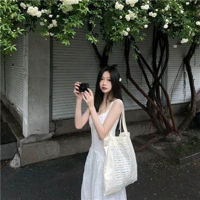 切罗基大街的房子